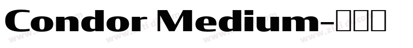 Condor Medium字体转换